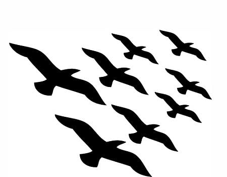 ஆள் அறிவுறுத்தும் கணந்துள் பறவை