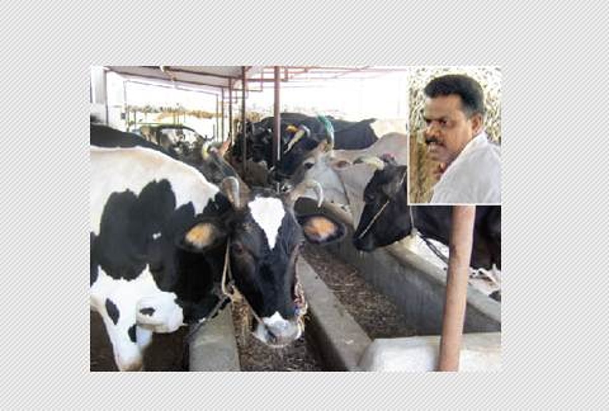 இயற்கை முறை பால் பண்ணை