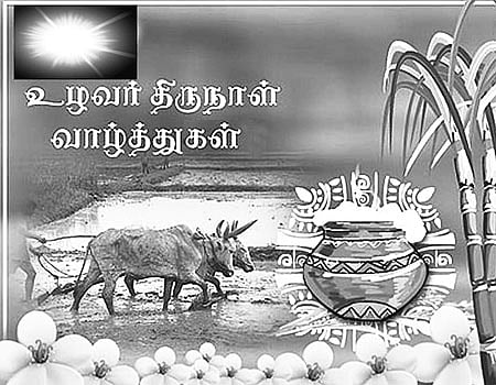 போலிகளைச் சாடி ஒரு பொங்கல் வாழ்த்து!