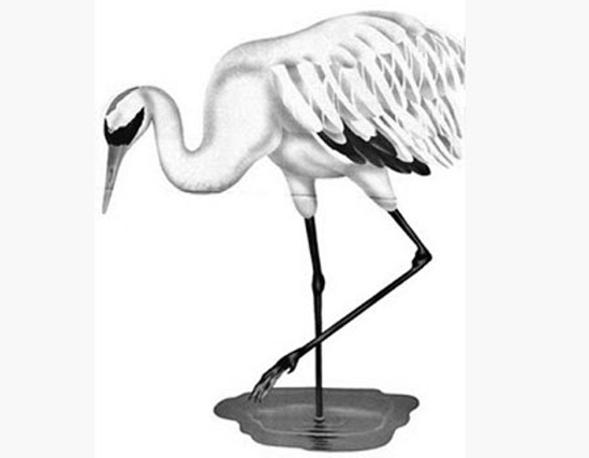 தமிழ்ச் செல்வங்கள்: கொக்கு - 2