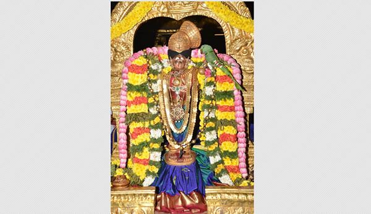 மார்கழி நீராட்ட உற்சவம் நாளை தொடக்கம்: ஸ்ரீஆண்டாள் பிரியாவிடை