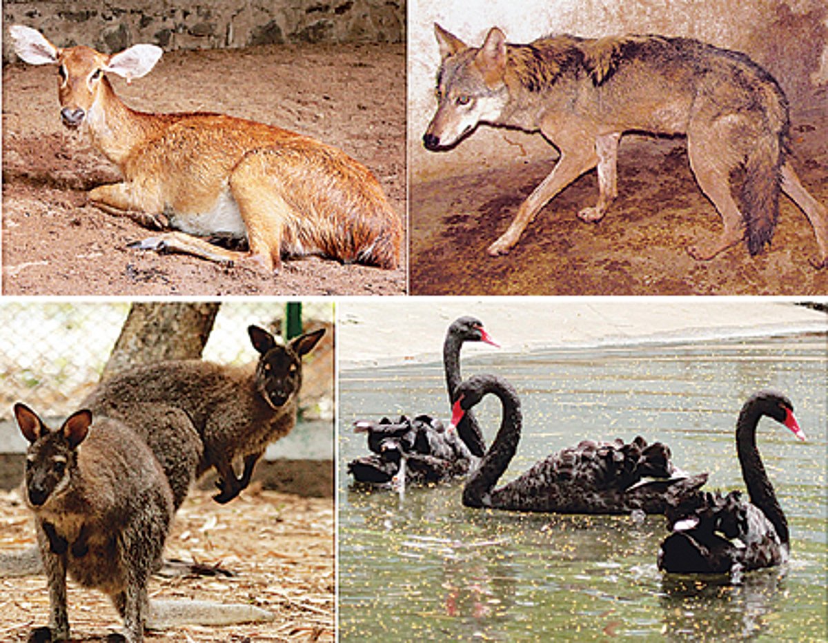 தமிழகத்தின் 15 ஆவது சரணாலயம்: நெல்லையில் உதயமானது