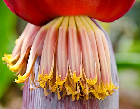 ஆயுள் காக்கும் ஆயுர்வேதம்: பித்த சீற்றத்தை அடக்க...!