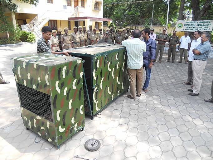 புலி சிங்கத்தைப் பிடிக்கும் கூண்டை கையாள்வது குறித்து பயிற்சி