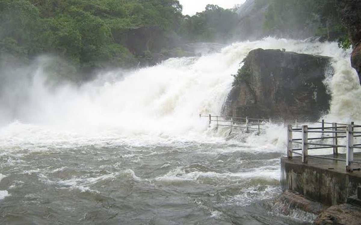 பிசான சாகுபடிக்காக மணிமுத்தாறு அணையில் நீர் திறப்பு