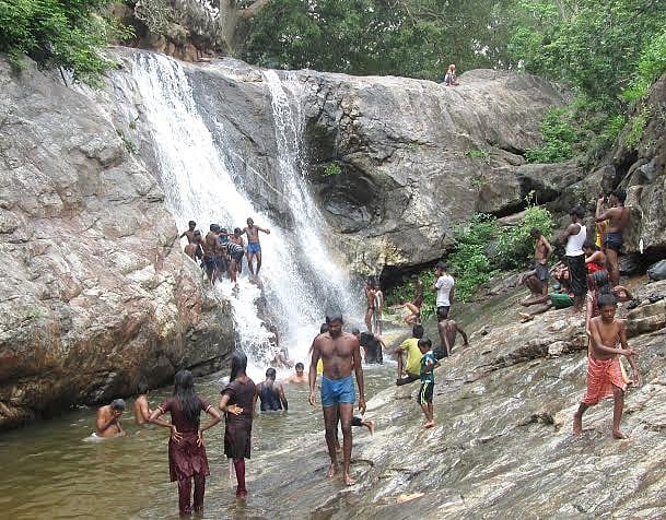 ஸ்ரீவில்லிபுத்தூர் பகுதியில் பரவலான மழை: மேற்குத் தொடர்ச்சி மலை நீர் வரத்து அதிகரிப்பு