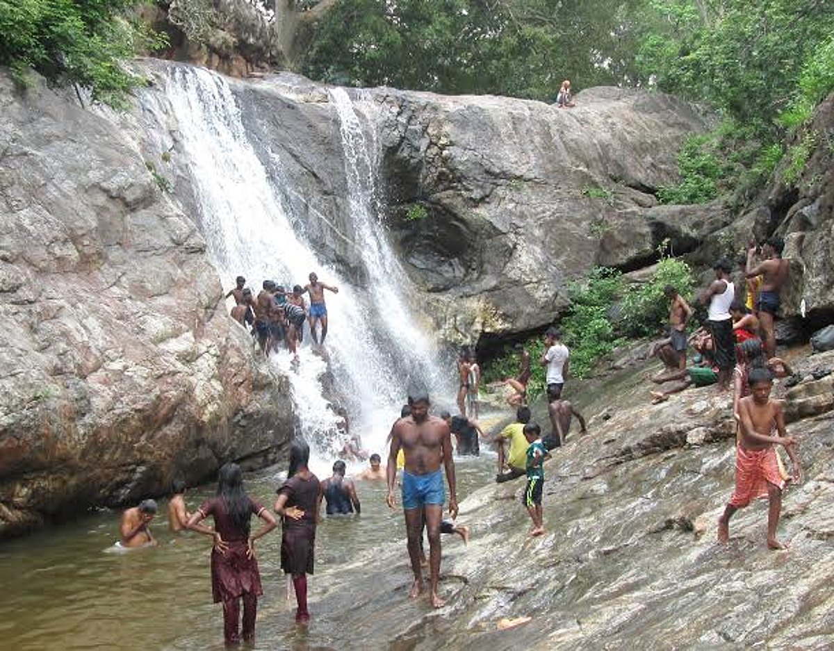ஸ்ரீவில்லிபுத்தூர் பகுதியில் பரவலான மழை: மேற்குத் தொடர்ச்சி மலை நீர் வரத்து அதிகரிப்பு