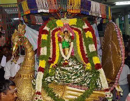 பழனியில் கந்தர் சஷ்டி விழா.  அரோகரா கோஷத்துக்கு இடையே சூரசம்ஹாரம்.