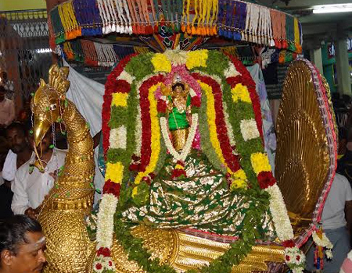 பழனியில் கந்தர் சஷ்டி விழா. அரோகரா கோஷத்துக்கு இடையே சூரசம்ஹாரம்.