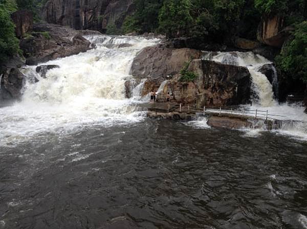 மணிமுத்தாறு அருவியில் வெள்ளம்: பாபநாசம், சேர்வலாறு அணைகளின் நீர்மட்டம் உயர்வு