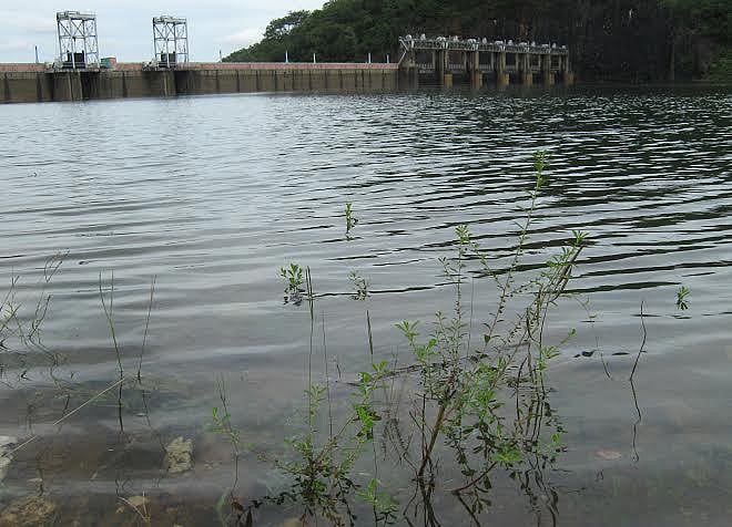 140 அடியை எட்டியது பாபநாசம் அணை!