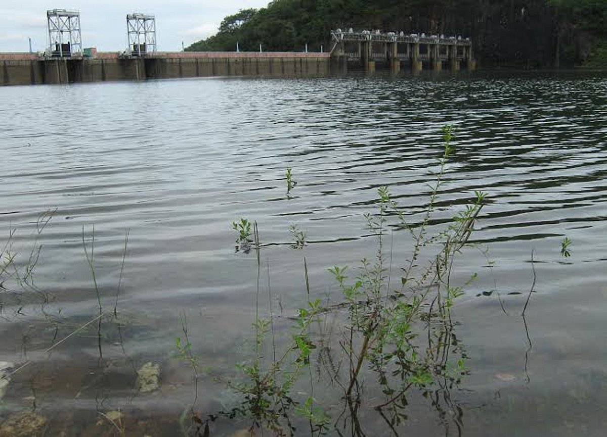 140 அடியை எட்டியது பாபநாசம் அணை!