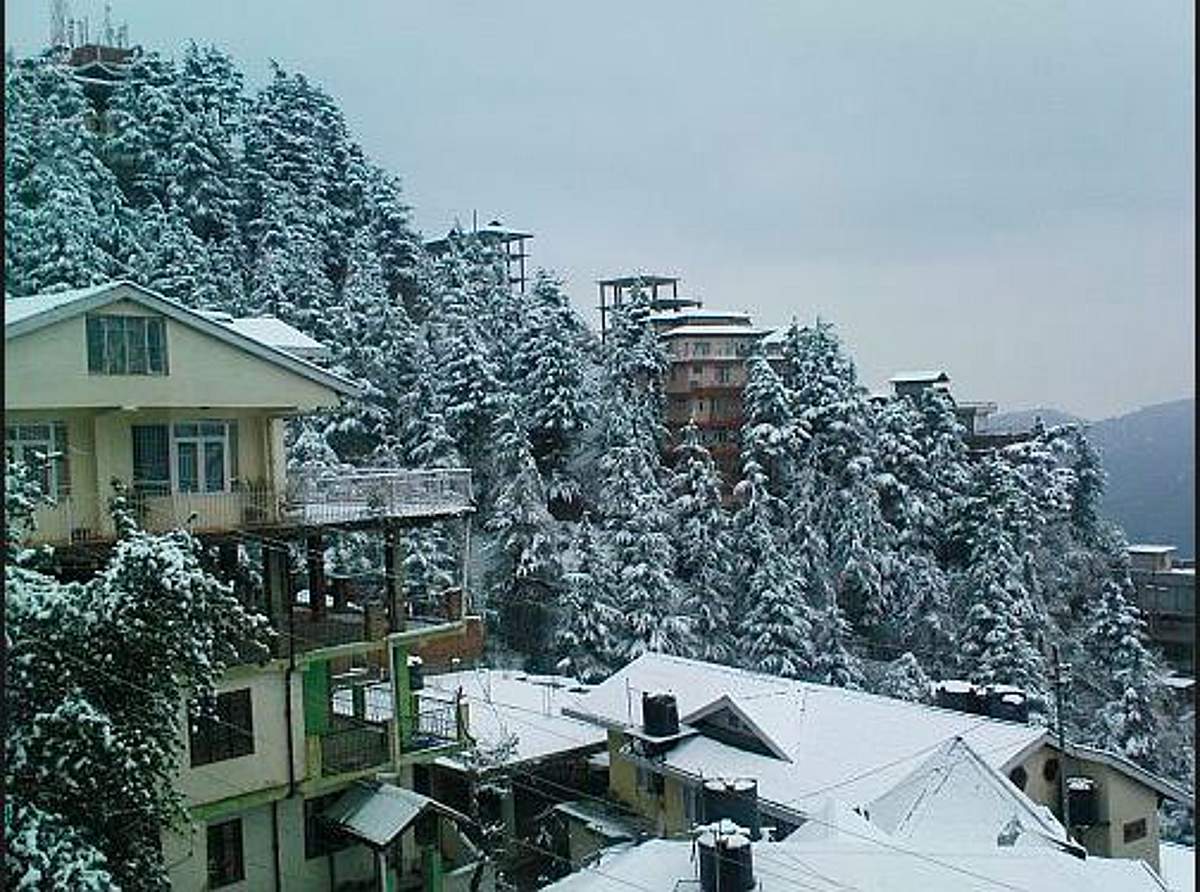 சென்னையிலேயே கடுங்குளிர் என்றால் இமாச்சலப்பிரதேசம் எப்படி இருக்கும் பாருங்கள்!