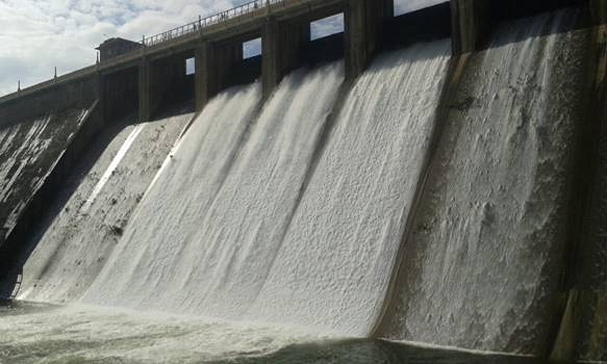 நெல்லை மாவட்டத்தில் 41,680 ஹெக்டேரில் நெல் நடவு: வேளாண் இணை இயக்குநர்