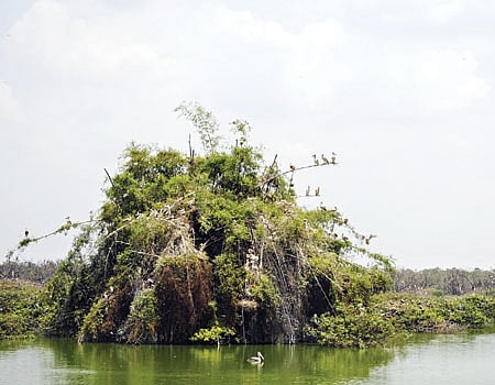 சீசன் முடியும் முன்பே வெறிச்சோடிய வேடந்தாங்கல் சரணாலயம்