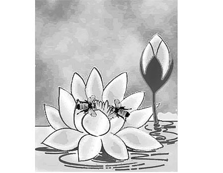 தமிழ்ச் செல்வங்கள்: மண் - 2