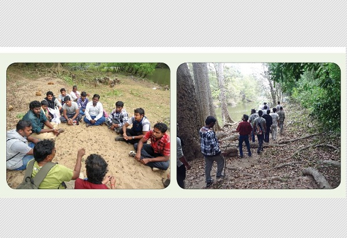 மலைக் காட்டுக்குள் ஒரு பயணம்!