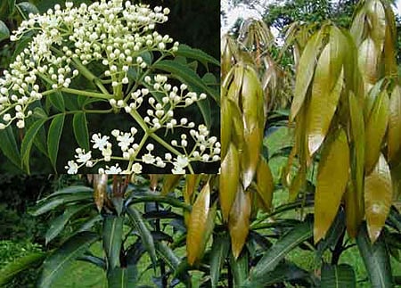 நலம் தரும்...