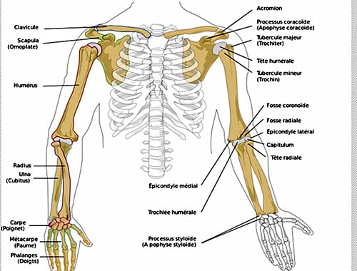 தசை, எலும்பு நோய்களுக்கு என்ன தீர்வு?