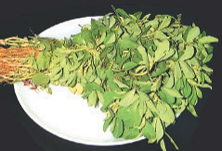 ஆயுள் காக்கும் ஆயுர்வேதம்: இரத்தம் அழுத்தம் சீராக..!