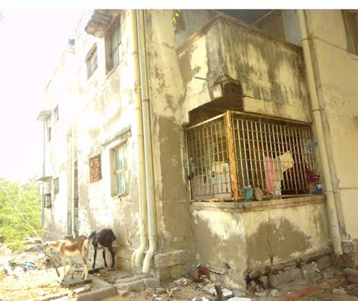 சித்திரை விசுத் திருவிழா: தாமிரவருணியில் நீராடி பக்தர்கள் தரிசனம்