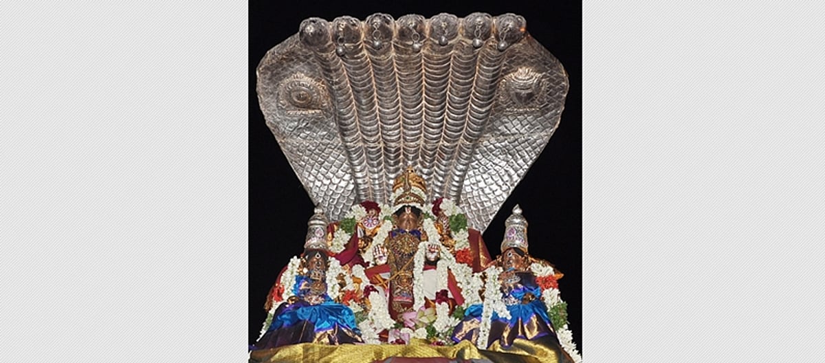 ஸ்ரீதில்லைகோவிந்தராஜப் பெருமாள் கோயிலில் பங்குனி உத்திரத்தை முன்னிட்டு திருக்கல்யாணம்