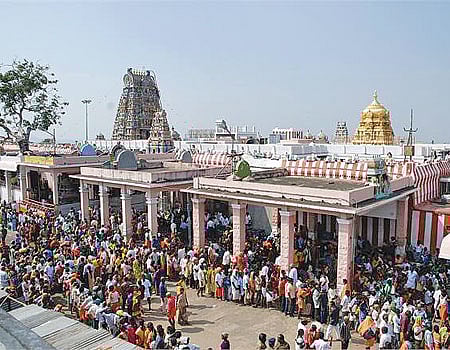 பழனிக்கோயில் உண்டியல் காணிக்கை வரவு ரூ 74  இலட்சத்தைத் தாண்டியது