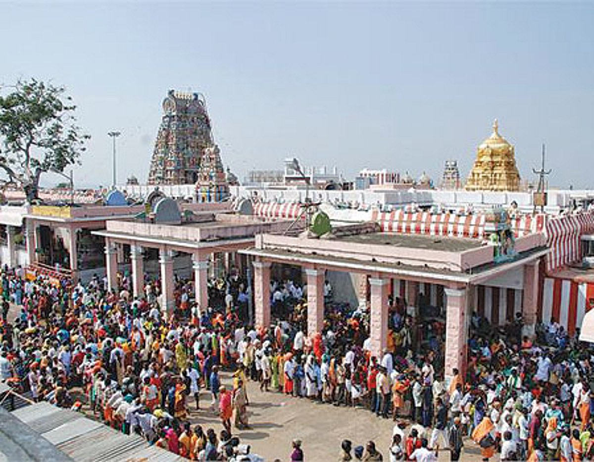 பழனிக்கோயில் உண்டியல் காணிக்கை வரவு ரூ 74 இலட்சத்தைத் தாண்டியது