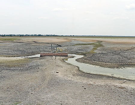 48 ஆண்டுகளாக தூர்வாரப்படாத மதுராந்தகம் ஏரி