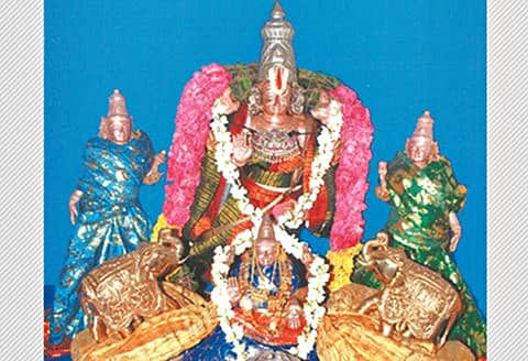 பெரும்புலியூர் சுந்தரராஜப் பெருமாள் கோயில்! 