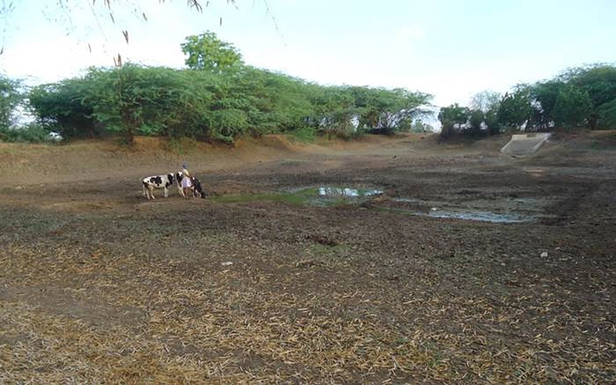 சிதம்பரம் : ஆறு, குளங்கள் வறண்டது; குடிநீர் பற்றாக்குறை, கால்நடைகள் அவதி