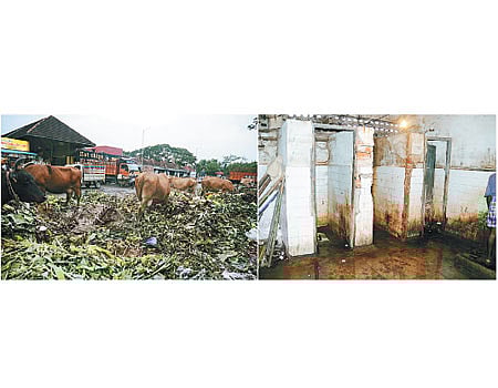 நிர்வாகக் கமிட்டி இல்லாததால் கோயம்பேடு மார்க்கெட்டில் பராமரிப்பு பணிகள் முடக்கம்