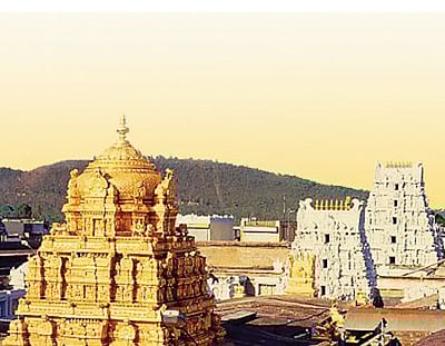 திருப்பதி ஏழுமலையான் கோயிலில் ஒரே நாளில் ரூ.2.49 கோடி உண்டியல் காணிக்கை வசூல்!