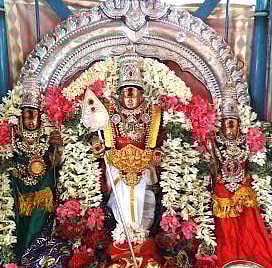 பழனியில் வைகாசி விசாகத் திருவிழா கொடியேற்றத்துடன் துவக்கம்