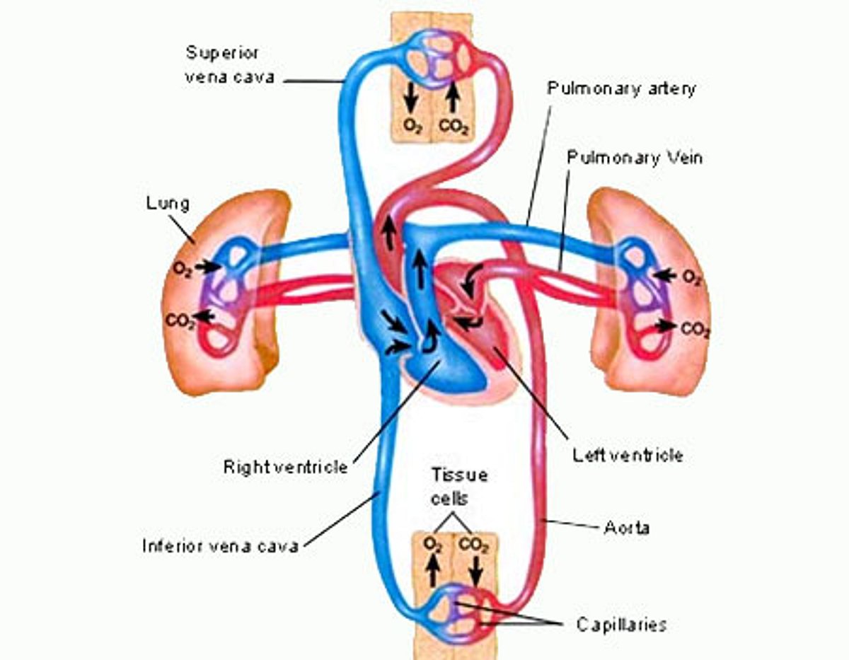 உயர் ரத்த அழுத்தம்: உடல் நலனுக்கு உதவாது!