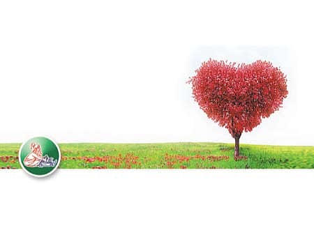 ஆயுள் காக்கும் ஆயுர்வேதம்: இதய நோய்களும் மூவிலை வேரும்!