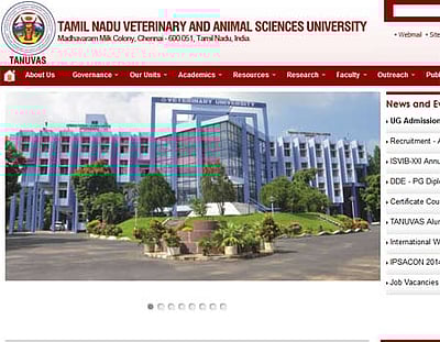 கால்நடை மருத்துவப் படிப்புகள்: தரவரிசை பட்டியல் வெளியீடு