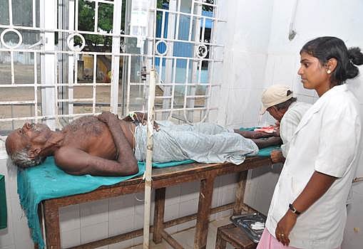 சிதம்பரம் அருகே மீன்பிடித்தவரை, முதலை கடித்தது: முதியவர் படுகாயம்