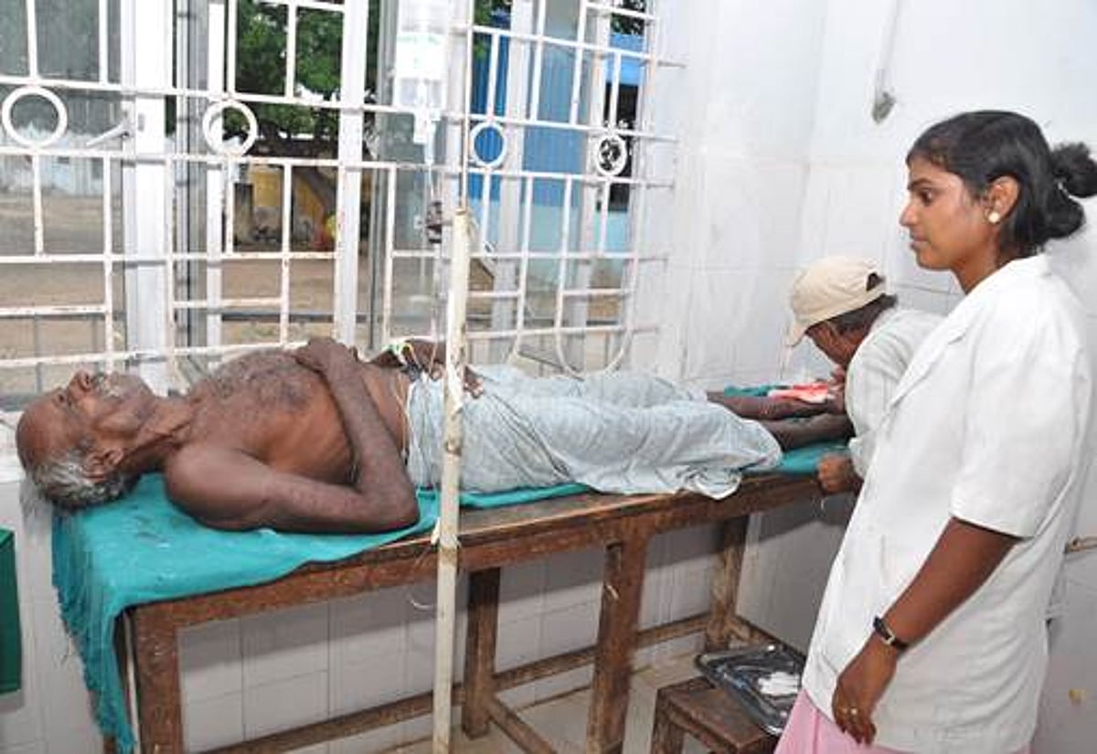 சிதம்பரம் அருகே மீன்பிடித்தவரை, முதலை கடித்தது: முதியவர் படுகாயம்