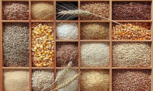 சவால்களுக்கு மத்தியில் முந்திரி, உலர்பழத் தொழில்