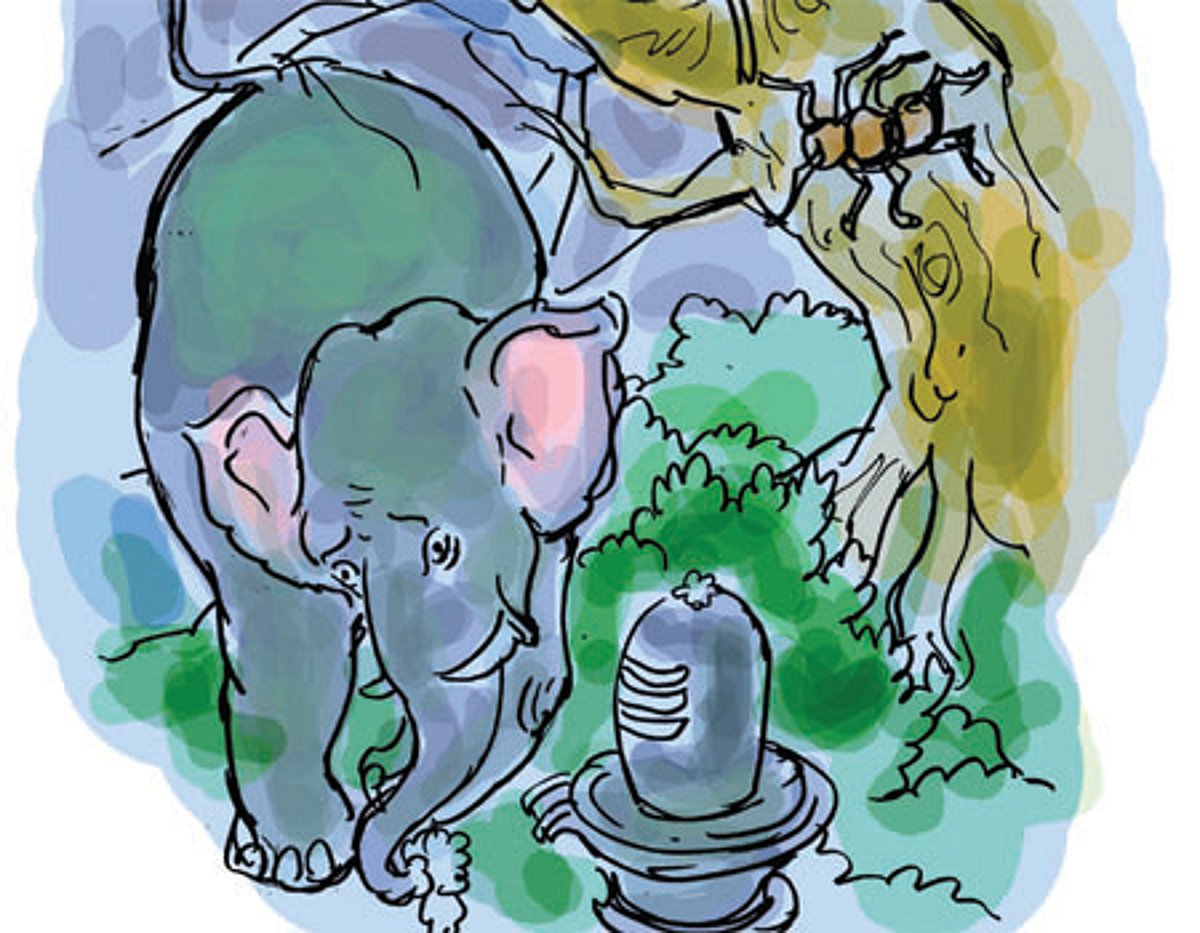 பக்திப் போட்டியில் யானை- சிலந்தி!