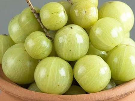 ஆயுள் காக்கும் ஆயுர்வேதம்: நெல்லிக்காயும், கால்களில் வலியும்!