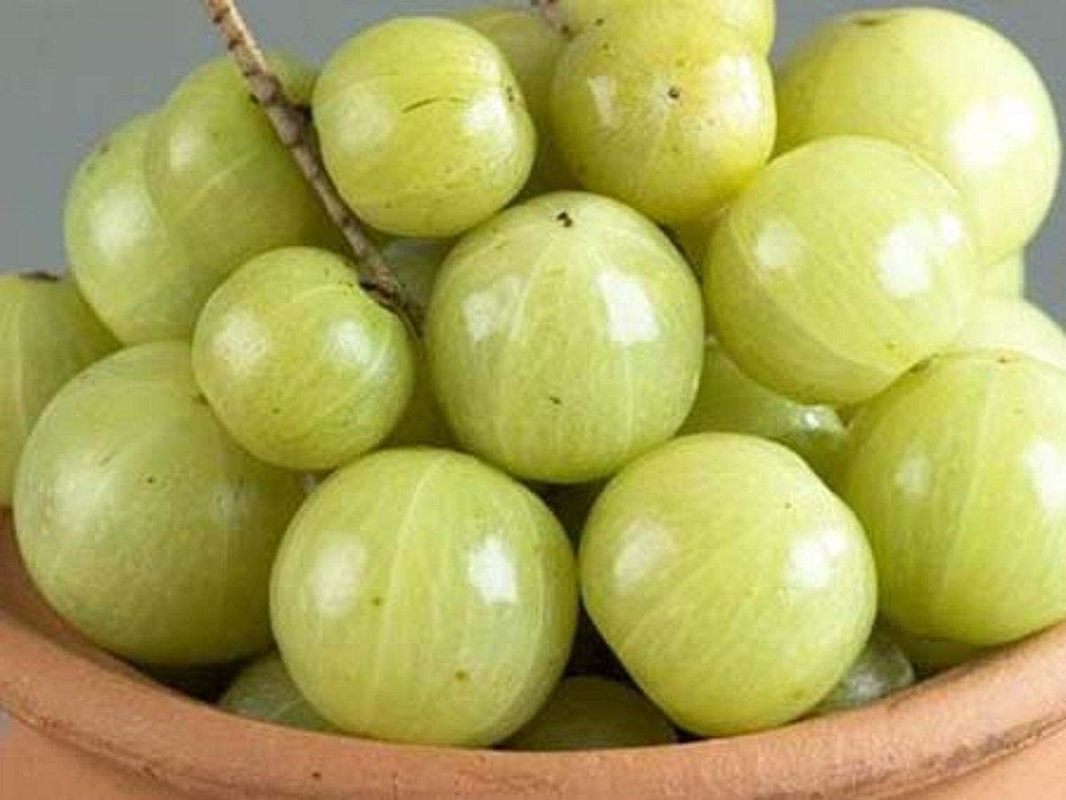 ஆயுள் காக்கும் ஆயுர்வேதம்: நெல்லிக்காயும், கால்களில் வலியும்!