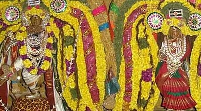 சிதம்பரம் நடராஜர் கோயிலில் ஆனித் திருமஞ்சன தரிசனம்: ஆயிரக்கணக்கான பக்தர்கள் பங்கேற்பு