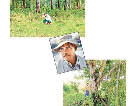 காட்டின் மனிதர்!