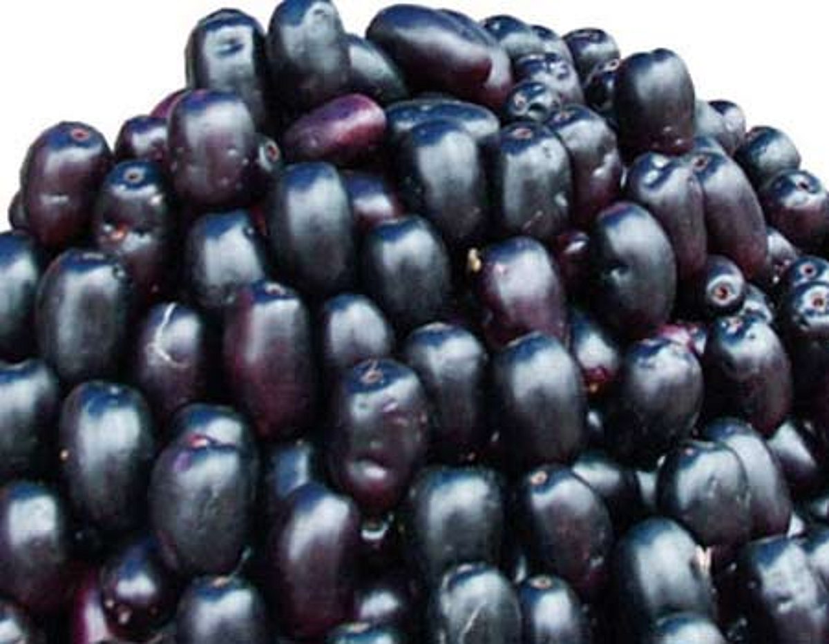 ஆயுள் காக்கும் ஆயுர்வேதம்: சர்க்கரையைக் கட்டுப்படுத்த நாவல்பழம் ஏற்றதா?