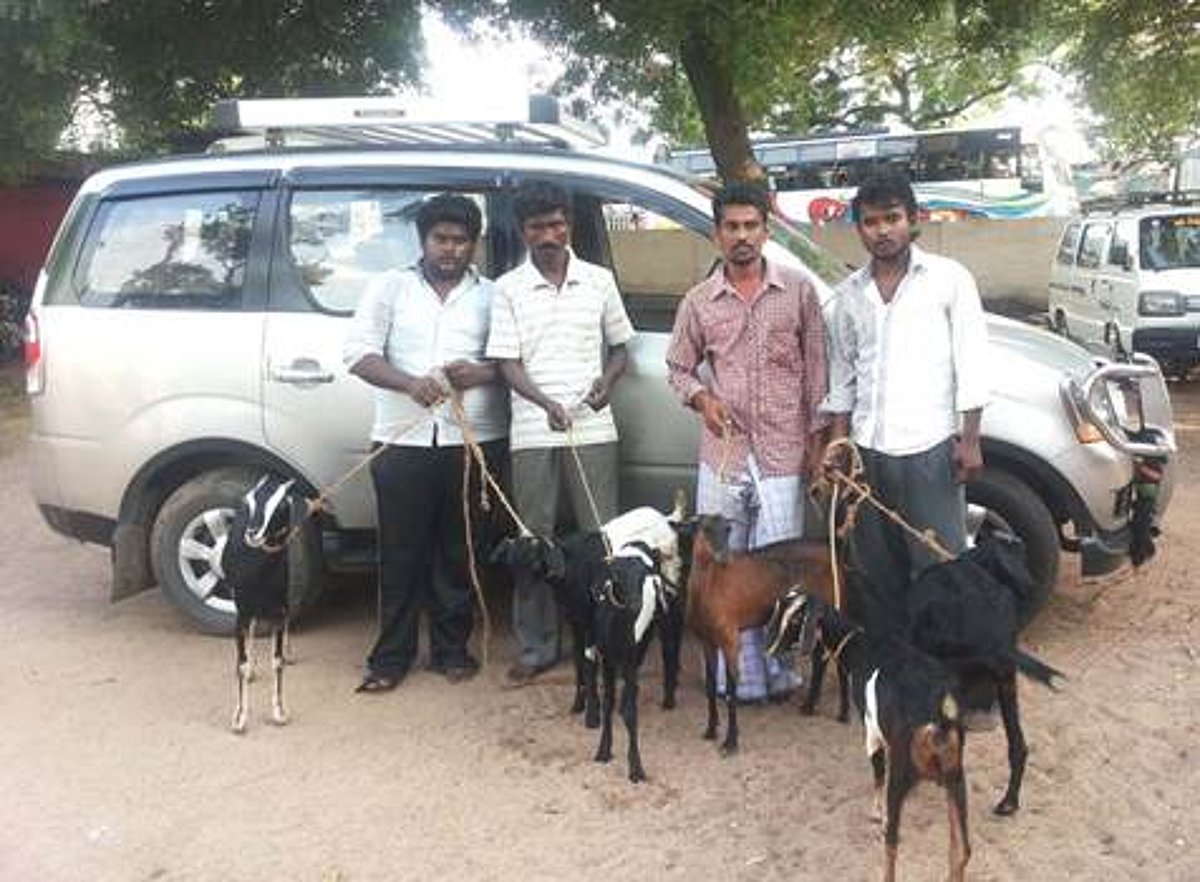 சிதம்பரம் அருகே சொகுசு காரில் சென்று ஆடு திருடிய இளைஞர்கள் 4 பேர் கைது!