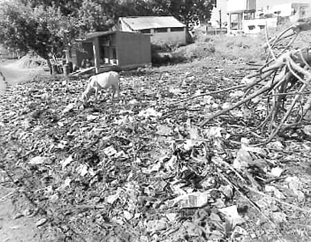 தூய்மை இந்தியா உருவாக...