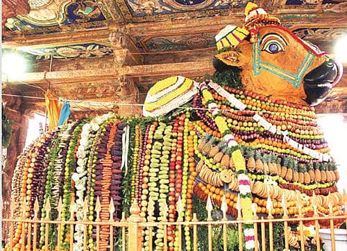 மகாநந்திக்கு மகர சங்கராந்தி விழா!