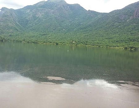 பிளவக்கல் அணையிலிருந்து விவசாய பணிகளுக்கு தண்ணீர் திறக்க நடவடிக்கை எடுக்கப்படுமா?